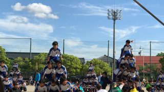 体育祭とトレーナー活動